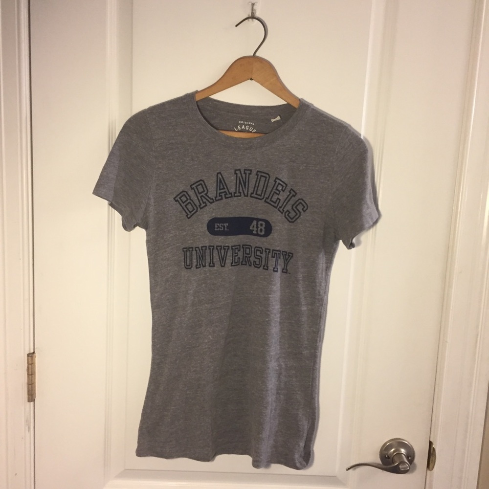 Brandeis University College Gray Heathered T-Shirt